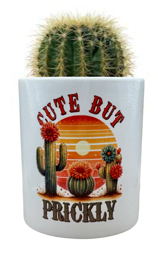 Planter Pot - Cute But Prickly