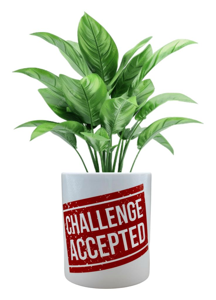 Planter Pot - Challenge Accepted