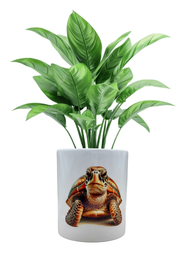 Pflanztopf - Schildkröte